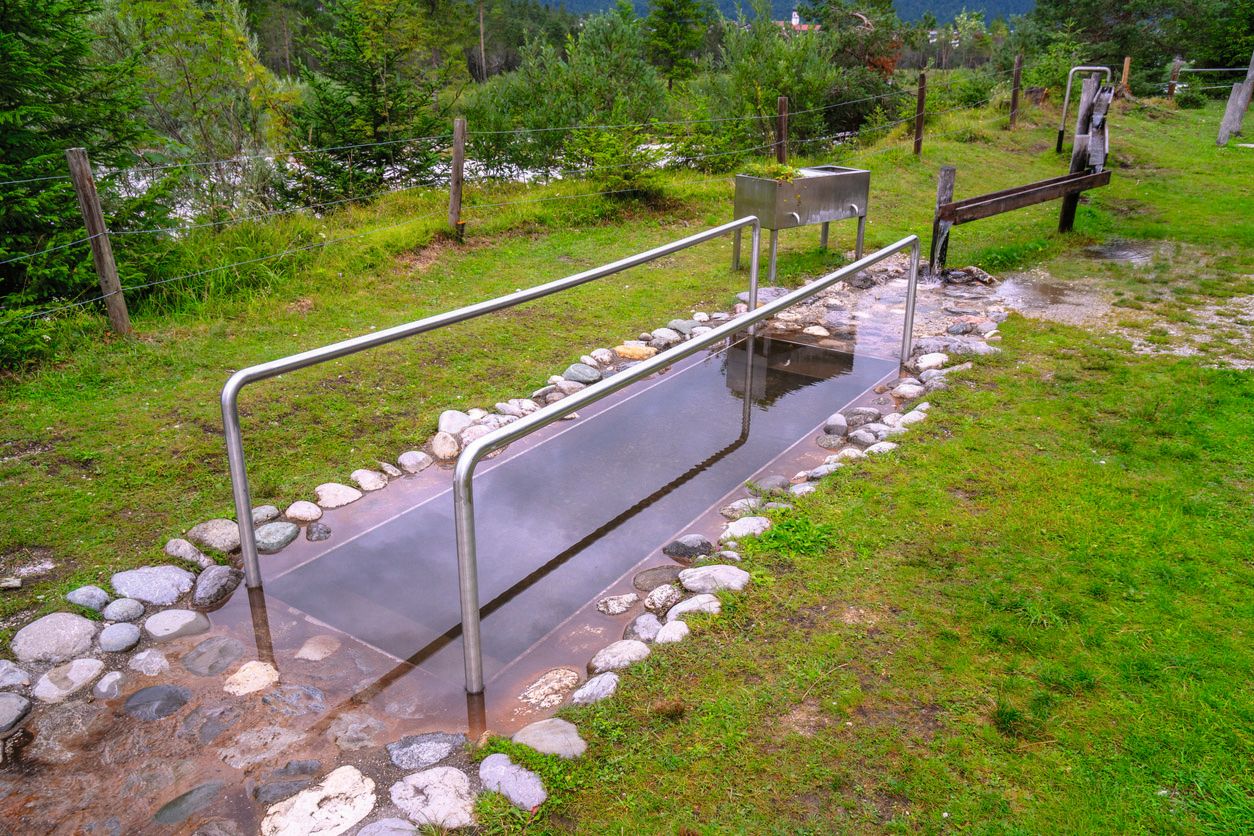 web iStock 1224139283